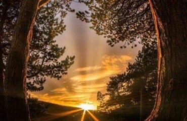 5B947842-EB3B-4FD9-9301-719E0EBB5CB5